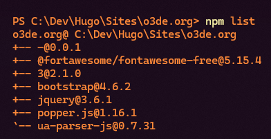 npm list Screenshot 2022-11-04 112101