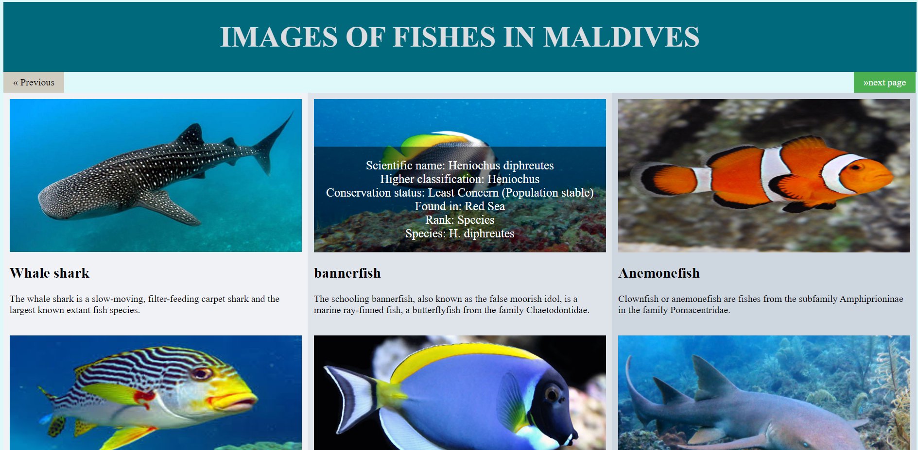 GitHub - akashsaravanan007/Animated_Website_Design: Animated Website ...