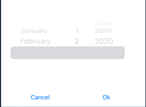 Screenshot 2021-03-03 at 3 13 34 PM