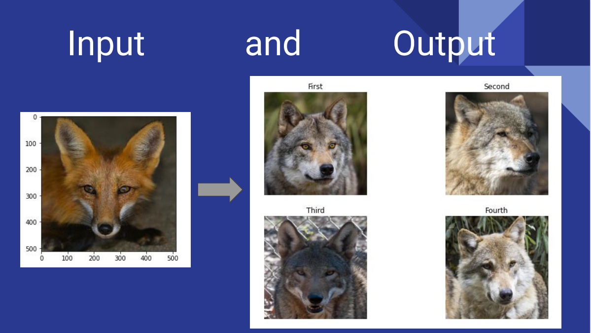 GitHub - ShyamaHarihar/ContentBasedImageRetrieval: Project made during ...