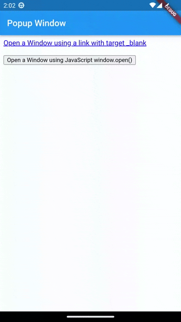 Project Examples InAppWebView