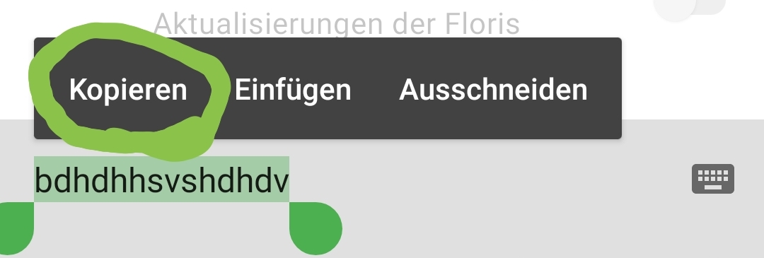 Screenshot_20220826-152923_FlorisBoard Beta.jpg