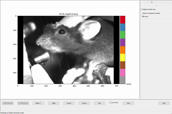 gif shift problem