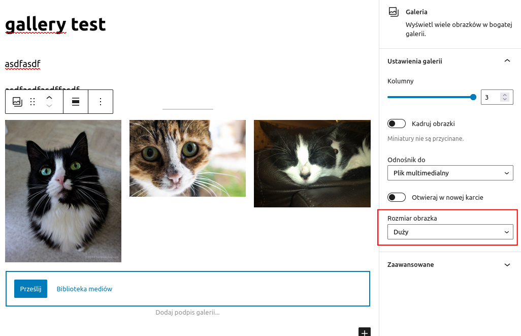 After inserting gallery from existing images `src` does not match ...