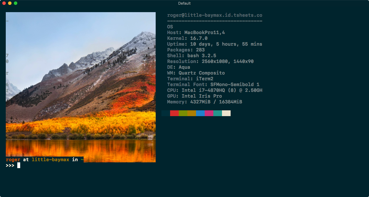 Text overflow onto image · Issue #826 · dylanaraps/neofetch · GitHub