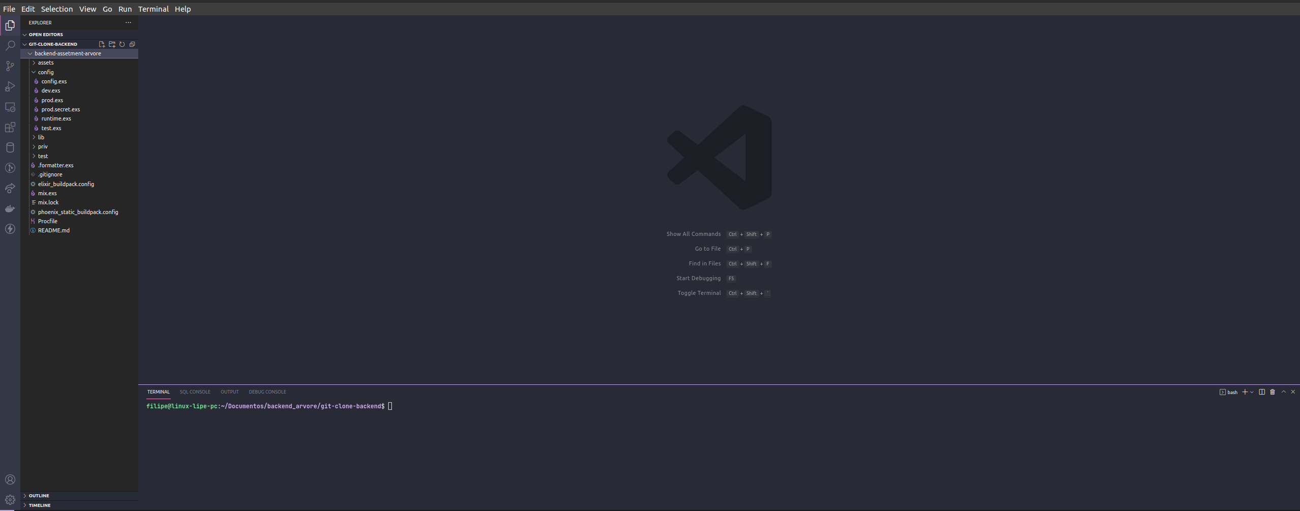 GitHub - gitfiilipeneto/backend-elixir-api: API usando Phoenix (elixir ...