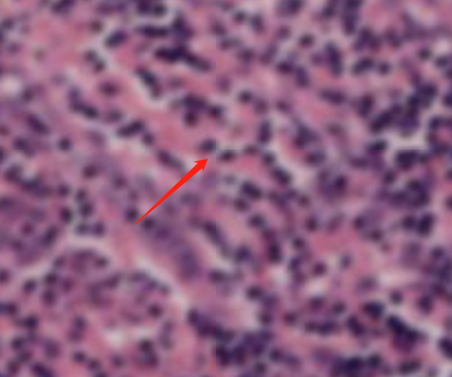 We force a little overlap when drawing a tile source that has no tile