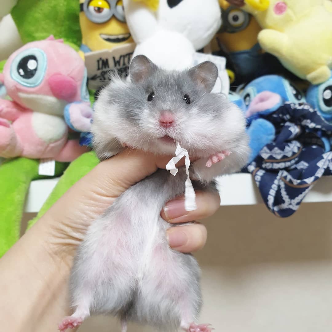 KakaoTalk_20201201_141005239