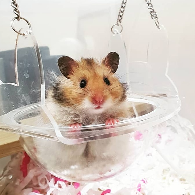 KakaoTalk_20201201_141005239_01