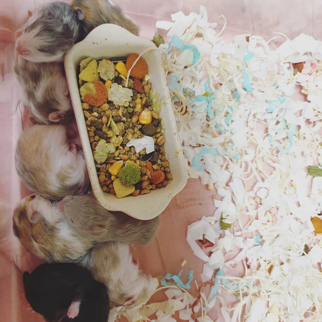 KakaoTalk_20201201_141005239_02