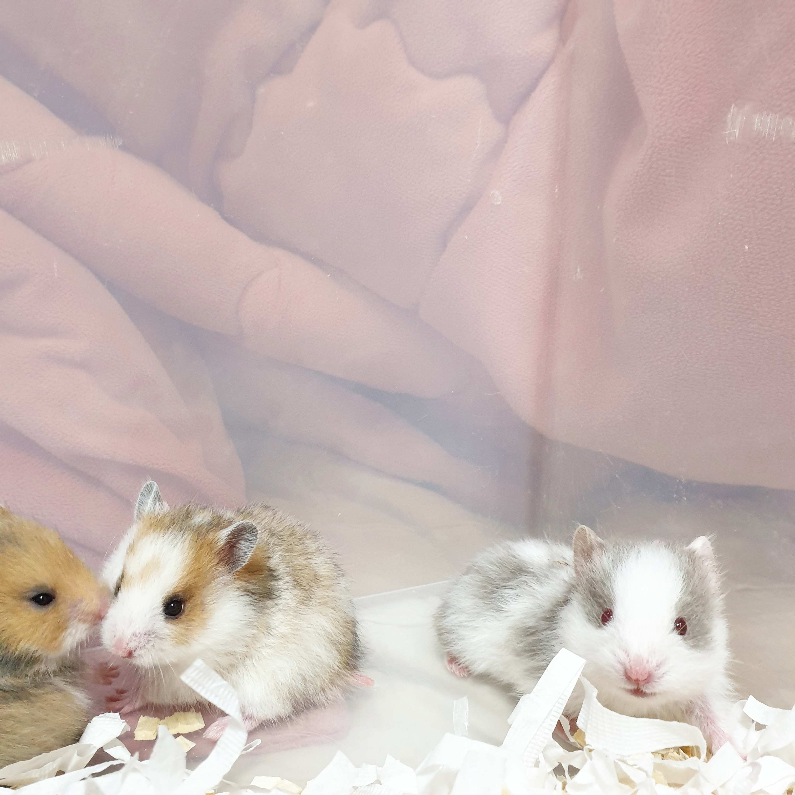 KakaoTalk_20201201_141005239_03