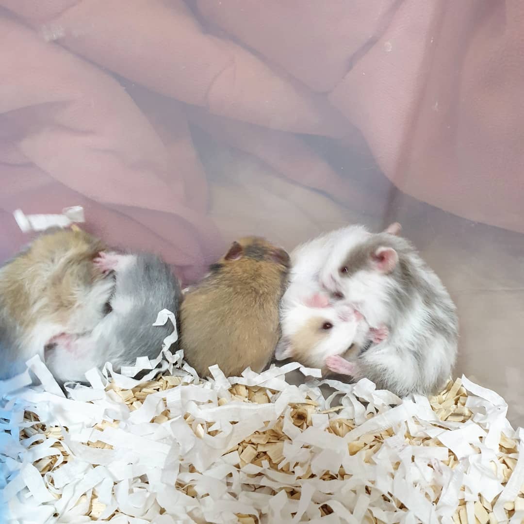 KakaoTalk_20201201_141005239_04