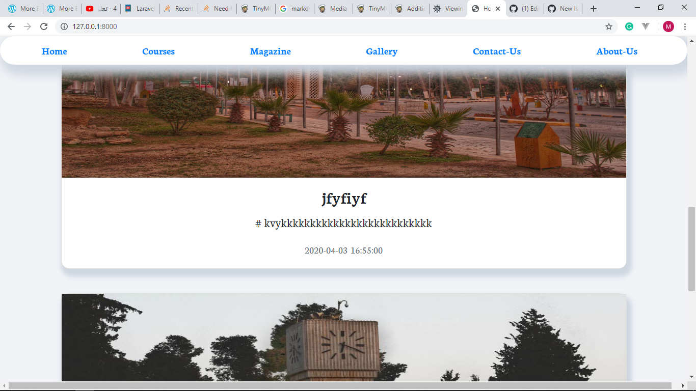 Markdown editor not working · Issue #4855 · thedevdojo/voyager · GitHub