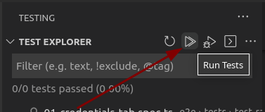 [BUG] VSCode Extension unable to run individual tests in Test Explorer ...