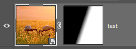 layer mask
