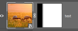 layer mask
