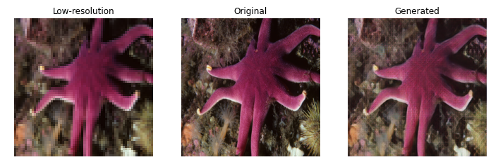 star fish