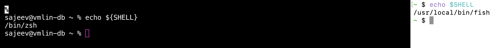 Screen Shot 2020-06-09 at 1 17 57 AM