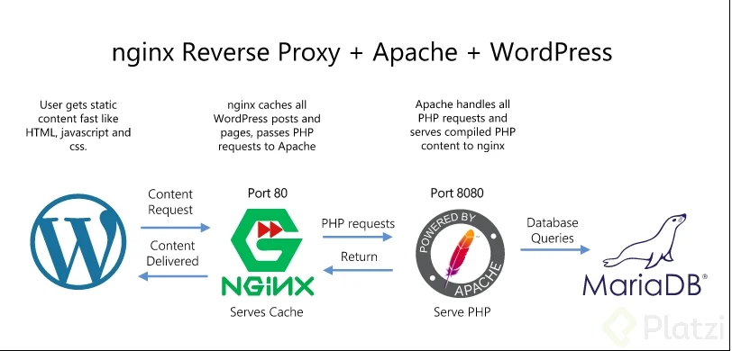 nginx-apache