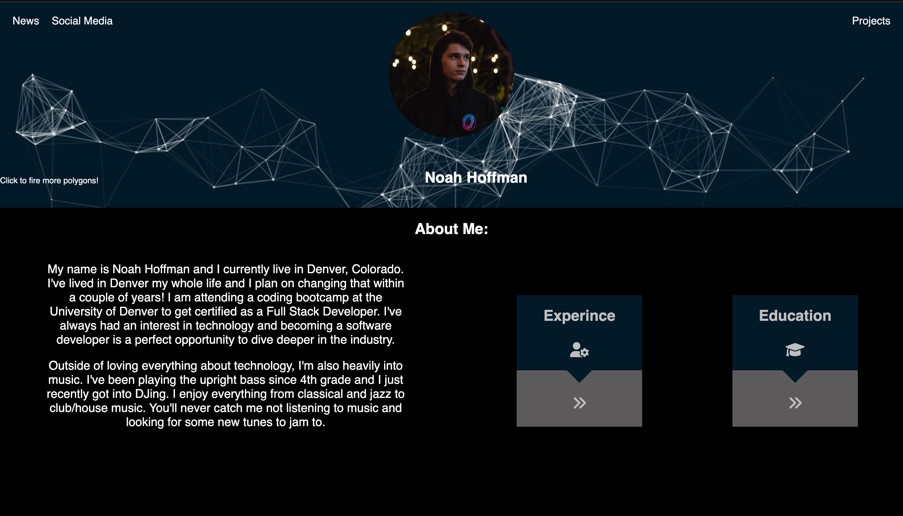 GitHub - Noah8863/Professional-Portfolio