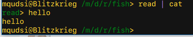 `read | cat` crashes fish · Issue #4540 · fish-shell/fish-shell · GitHub