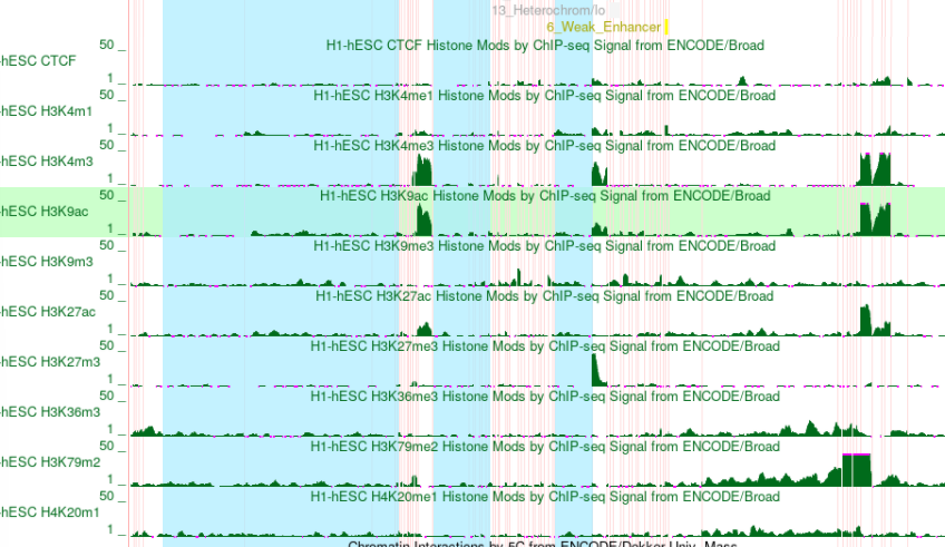 GitHub - tomat8jpg/hse_hw3_chromhmm