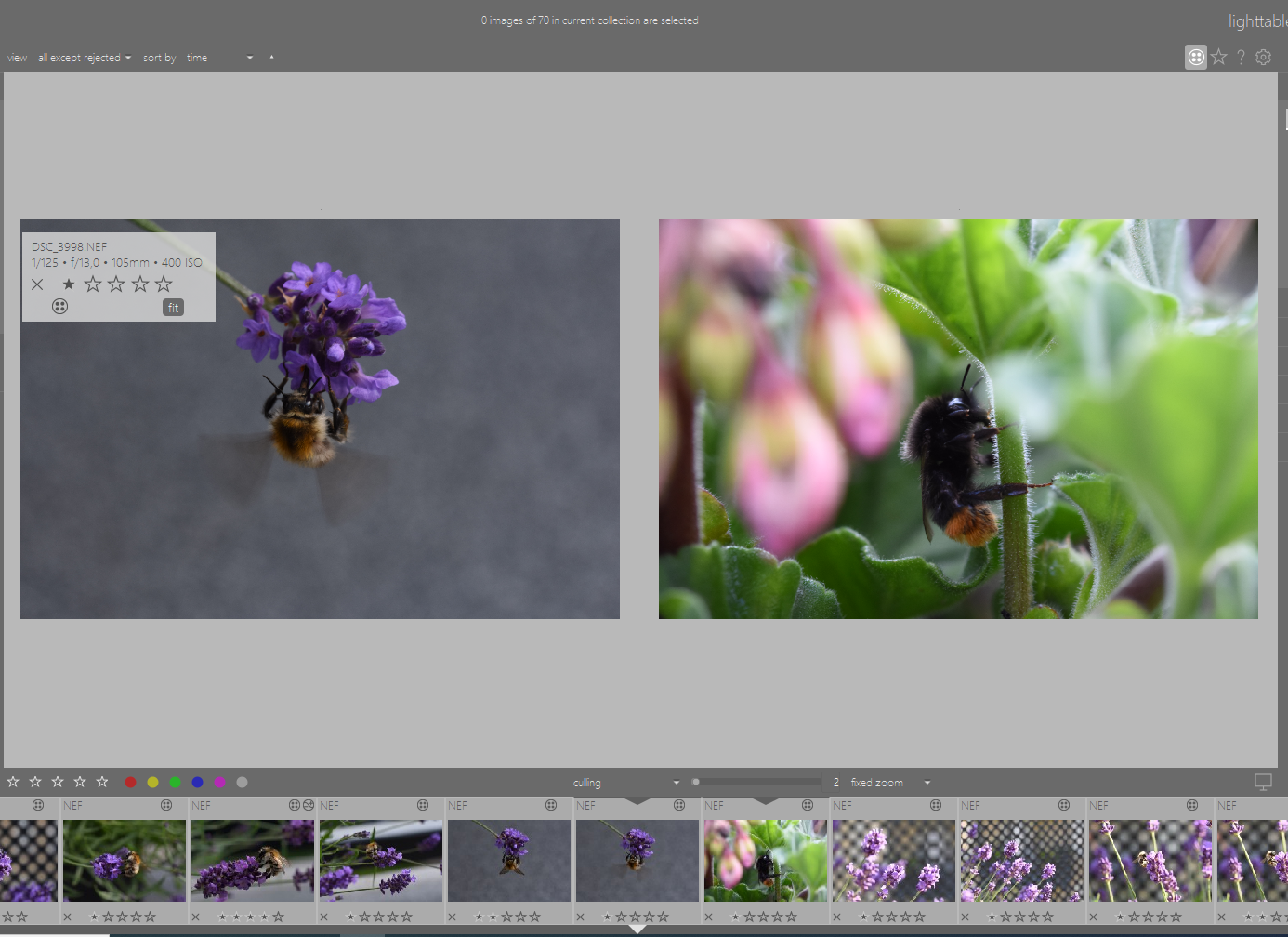 Culling mode with fixed zoom Film Strip can jump back to start