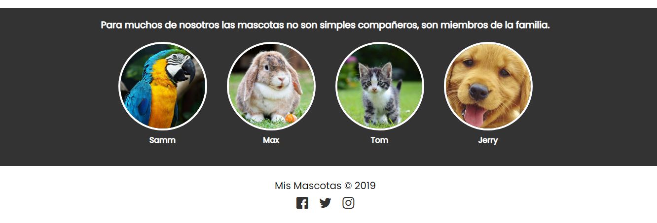 GitHub - yoma75/veterinaria: website veterinaria ( html, css ) · GitHub