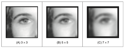GitHub - cekpowell/templ-conv-and-hybrid-images: An implementation of ...