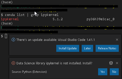 install ipython on external interpreter