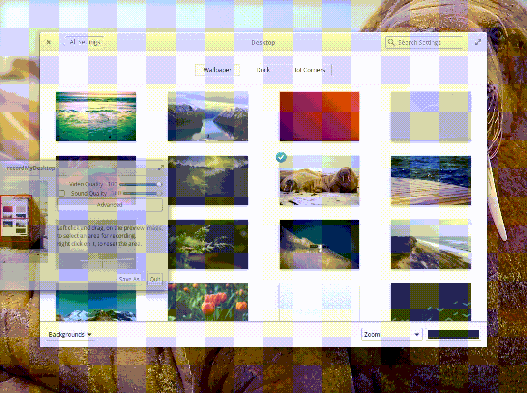 Thumbnails move when window is unfocused · Issue 103 · elementary