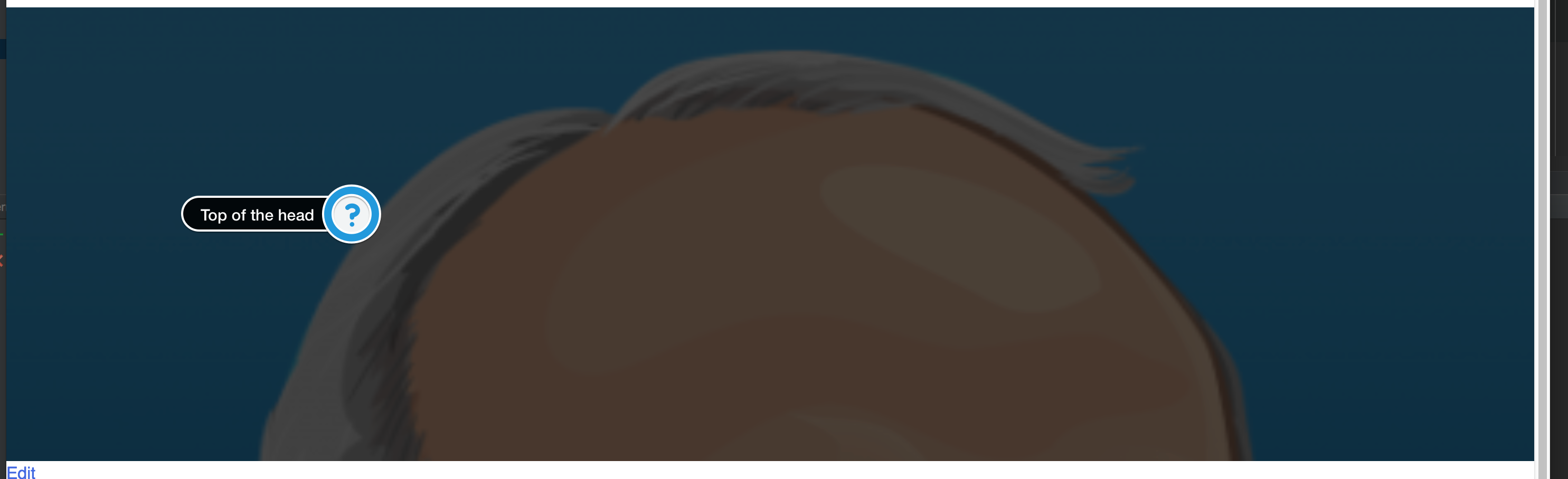 sample_page_dartea_tdd_ _studio_indruk_and_page-template-checkout_php_-_yoast_com-ms_-____documents_dev_yoast_com-ms_