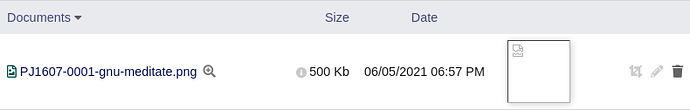 bug-files-project-dolibarr-dev-210605-1830-01