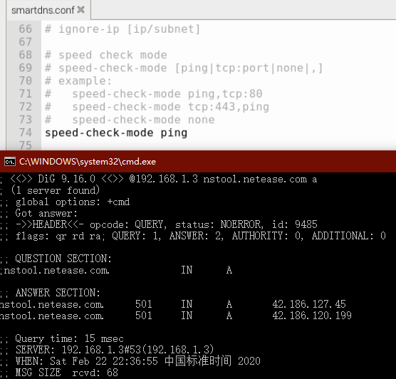 speed-check-mode ping无效 · Issue #382 · pymumu/smartdns · GitHub