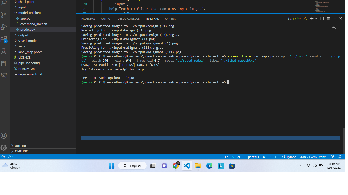 Help me u the best my dear usage streamlit run options target