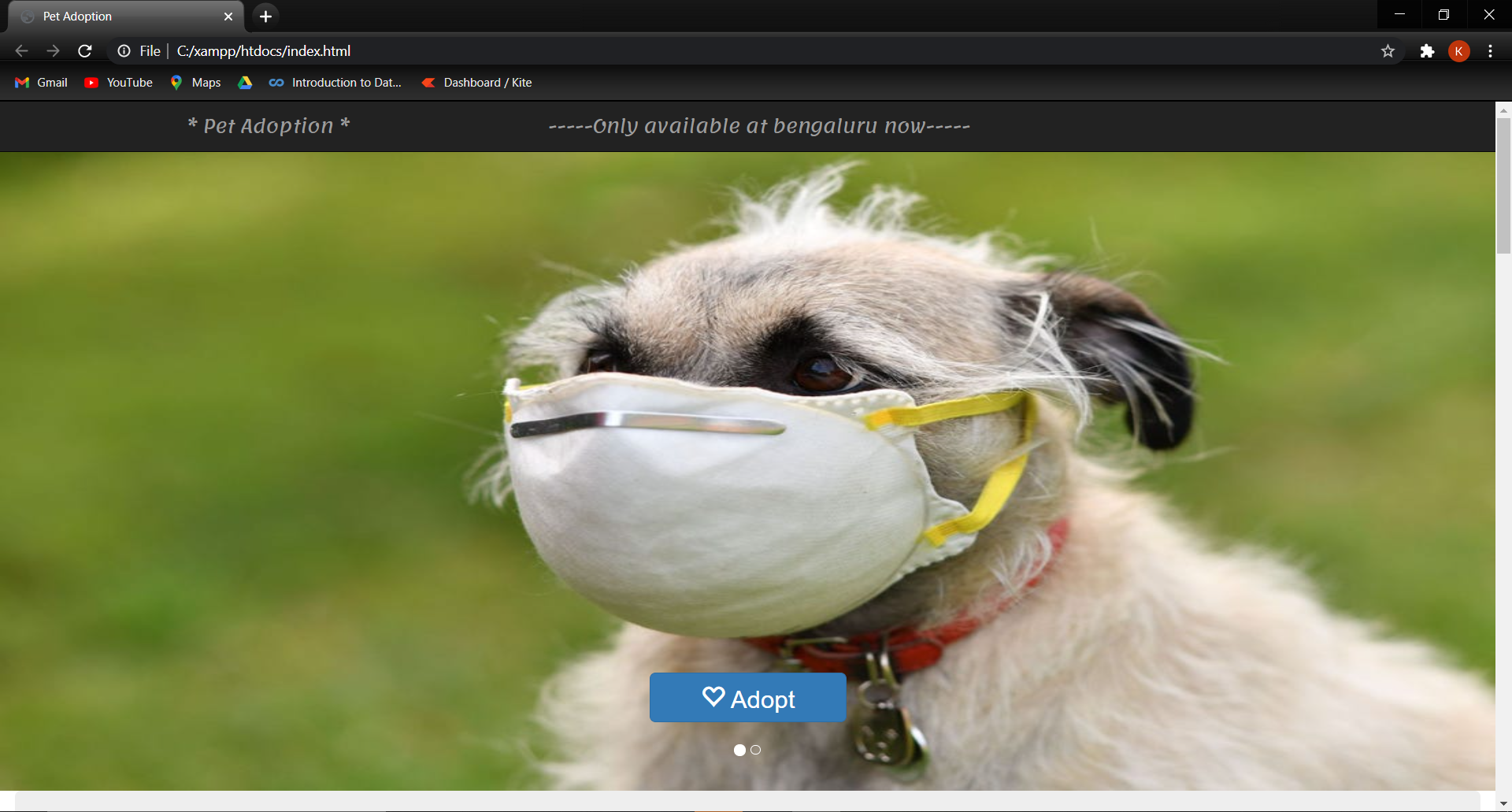 GitHub - Karthik0075/petadoptionwebsite