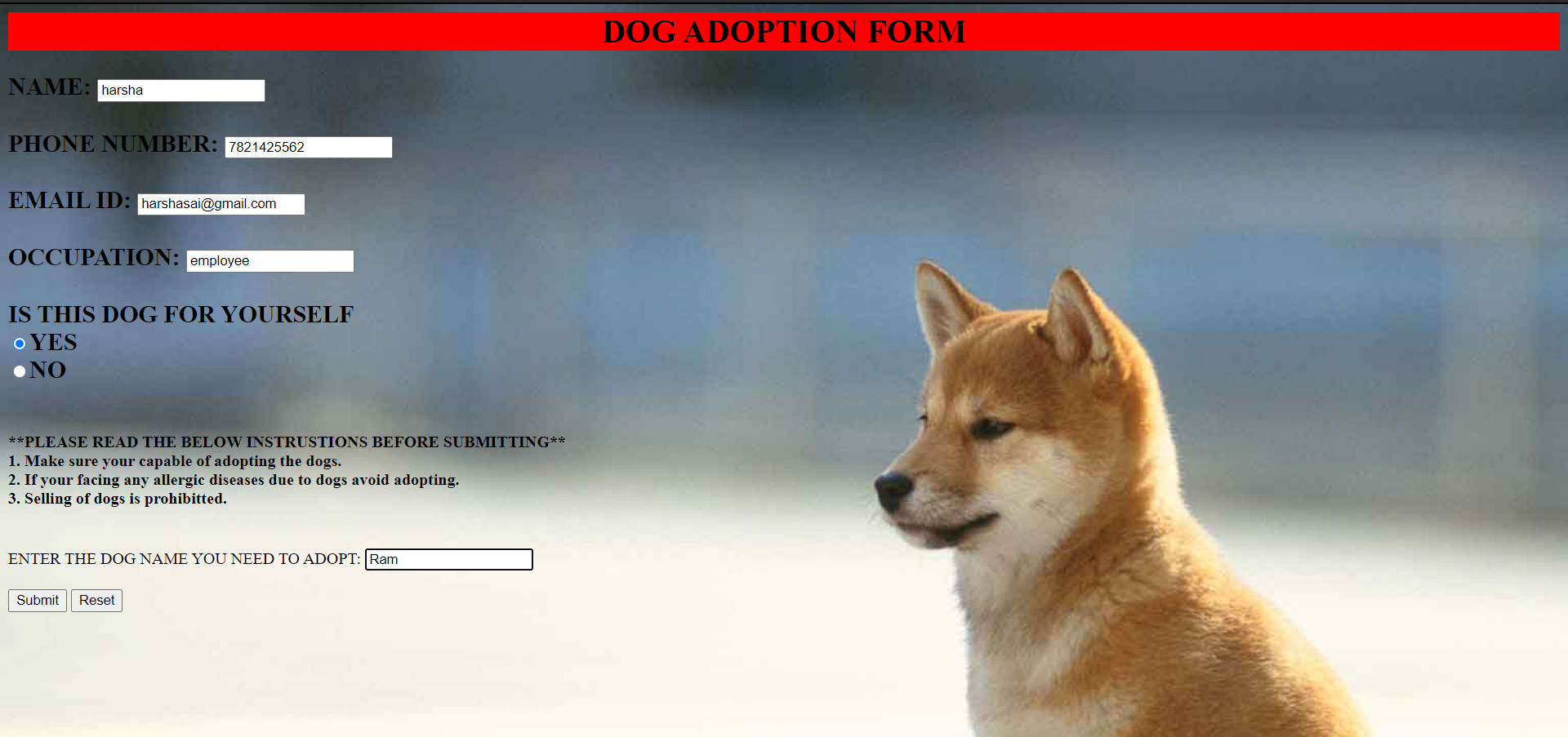 GitHub - Karthik0075/petadoptionwebsite