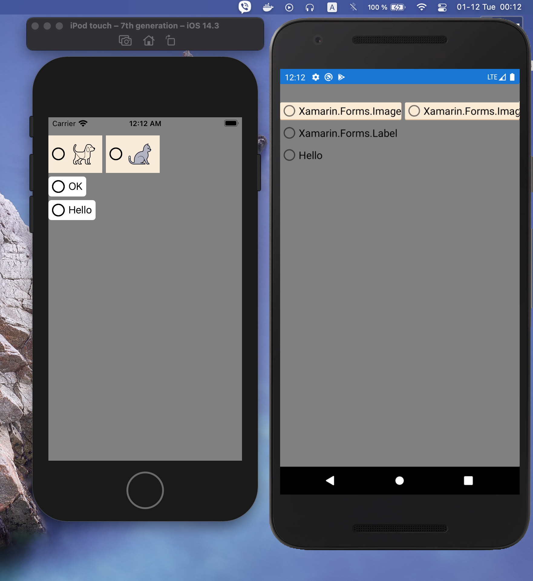 XF5 Android does not support View as the Content property of ...