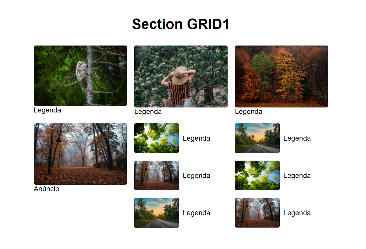 GitHub - CzarSantos/grid_flexbox: Teste utilizando CSS Grid Layout e ...