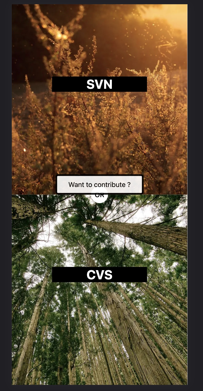 CleanShot 2022-10-25 at 10 11 14@2x