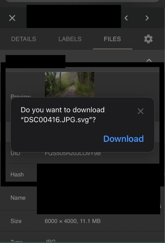 The download button on iOS produces tiny svg files for download · Issue