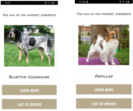 GitHub - CodeTypo/DoggoExplorerCS50: An Android app made for the final ...
