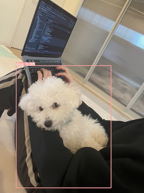 GitHub - JUNYA-727/YOLO_dog