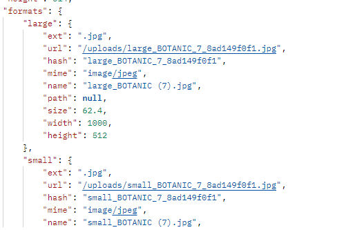 Capture d’écran 2022-03-17 181723