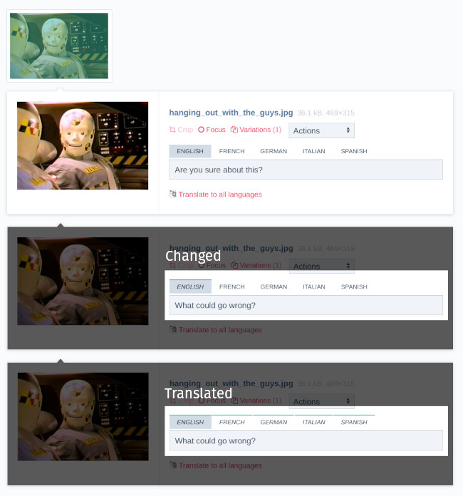 fluency_modified_indicator
