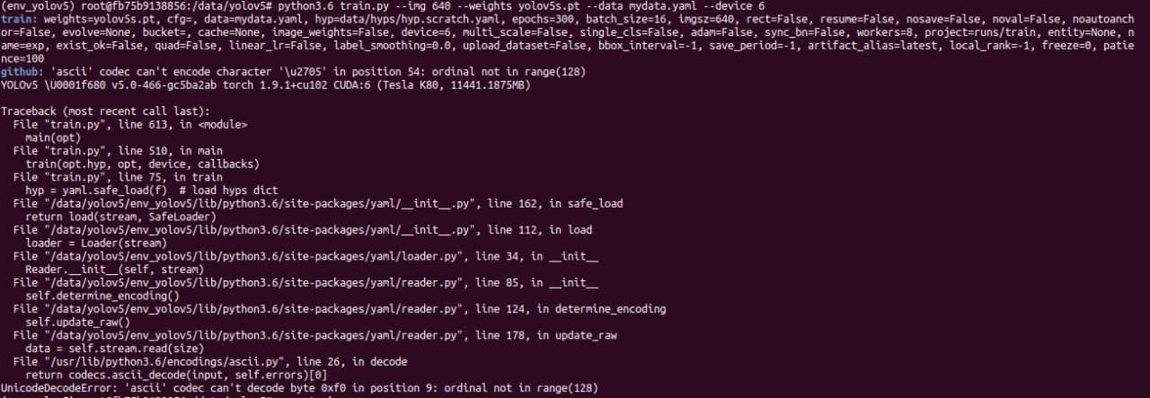 Error when training my custom data · Issue #4942 · ultralytics/yolov5 ...