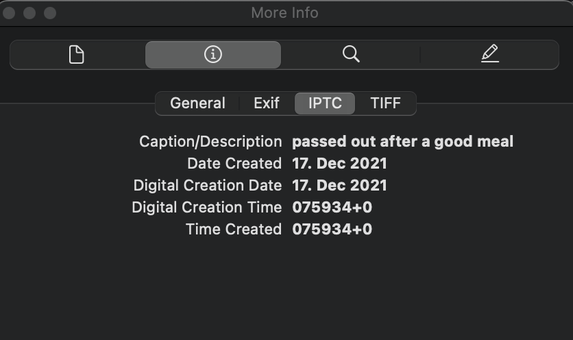 Screenshot 2021-12-17 at 21 29 09