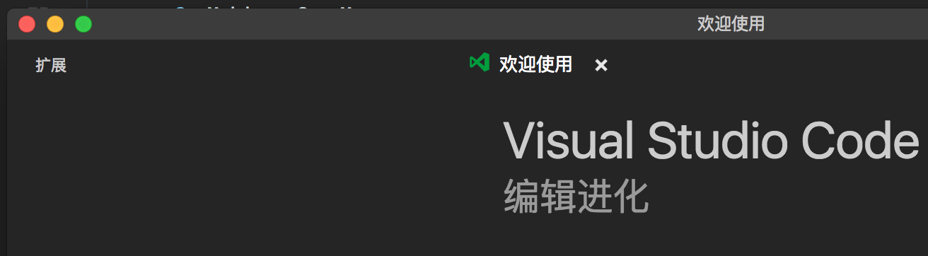 Can't open extension view · Issue #30926 · microsoft/vscode · GitHub