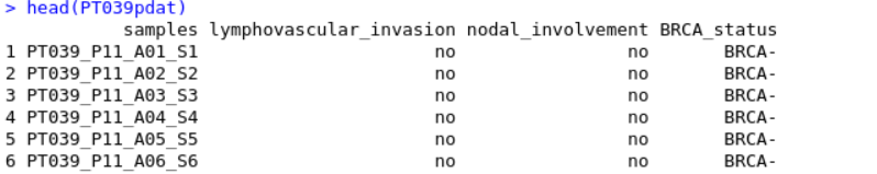 How to plot multiple observations under one column using DimPlot ...