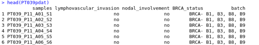 How to plot multiple observations under one column using DimPlot ...
